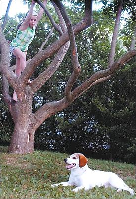 The canine lifeline has brought Buster to Hatboros Walton family. The lucky dog, a year old, relaxes in his new yard as Elizabeth, 10, climbs a tree.