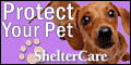 Protect your pet. ShelterCare Pet Insurance Programs