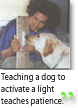 Teaching a dog to activate a light teaches patience