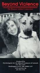 Beyond Violence video