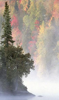 Southwest Virginia stream.