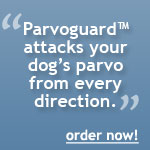 parvo information