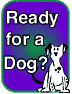 Ready for a Dog?